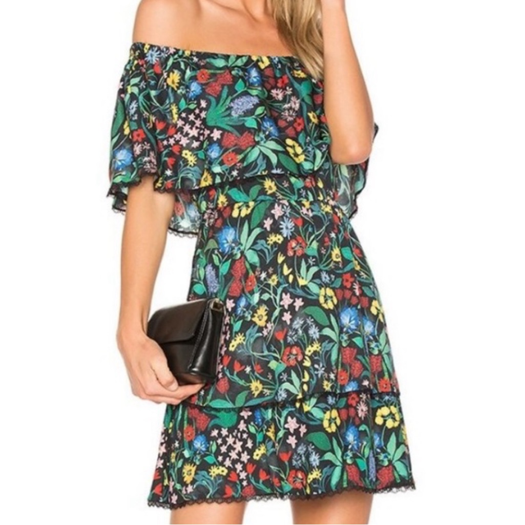 Size 2 Alice + Olivia Dress